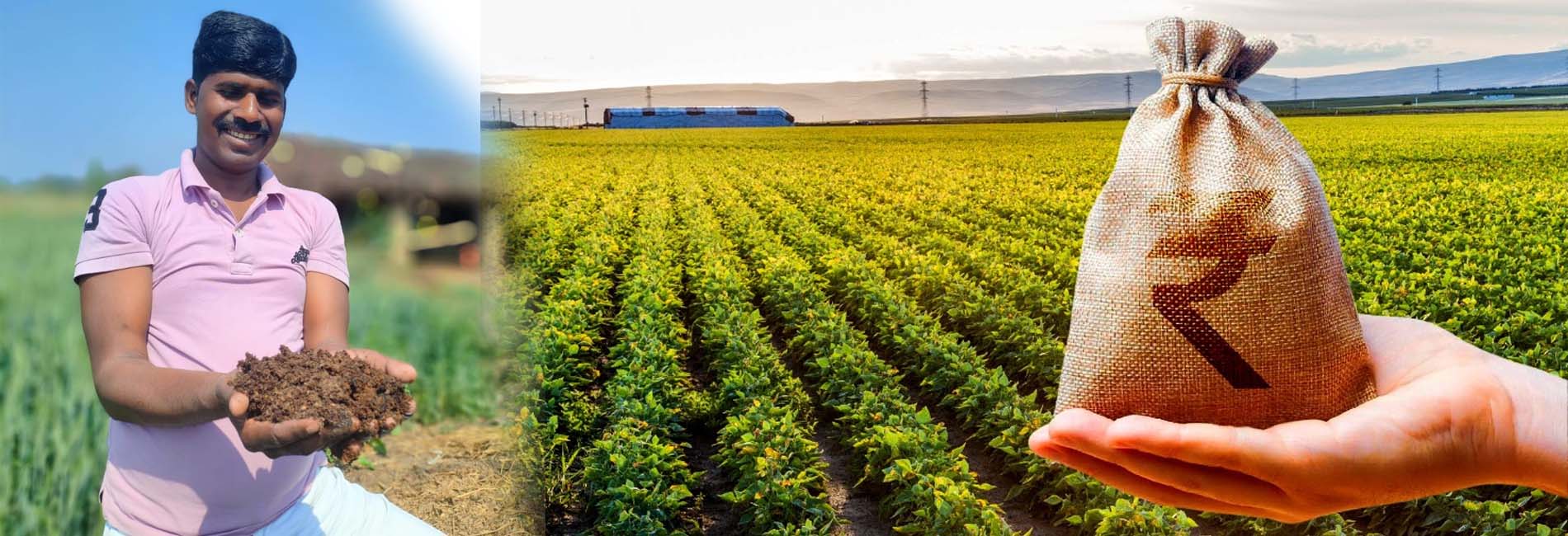 Skill Up, Rise Up: Capacity Building for Rural Resilience